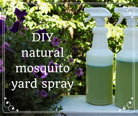 Insect Repellent Magic Mesh: A Natural Alternative to Harmful Chemicals